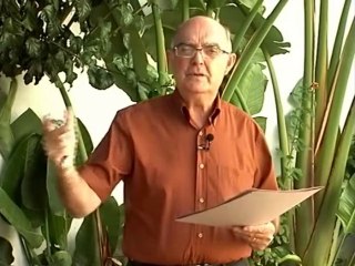 Sembrando esperanza - La lucha de la vida y la crisis que estamos viviendo - Juan Niemeyer - 04.10.2014