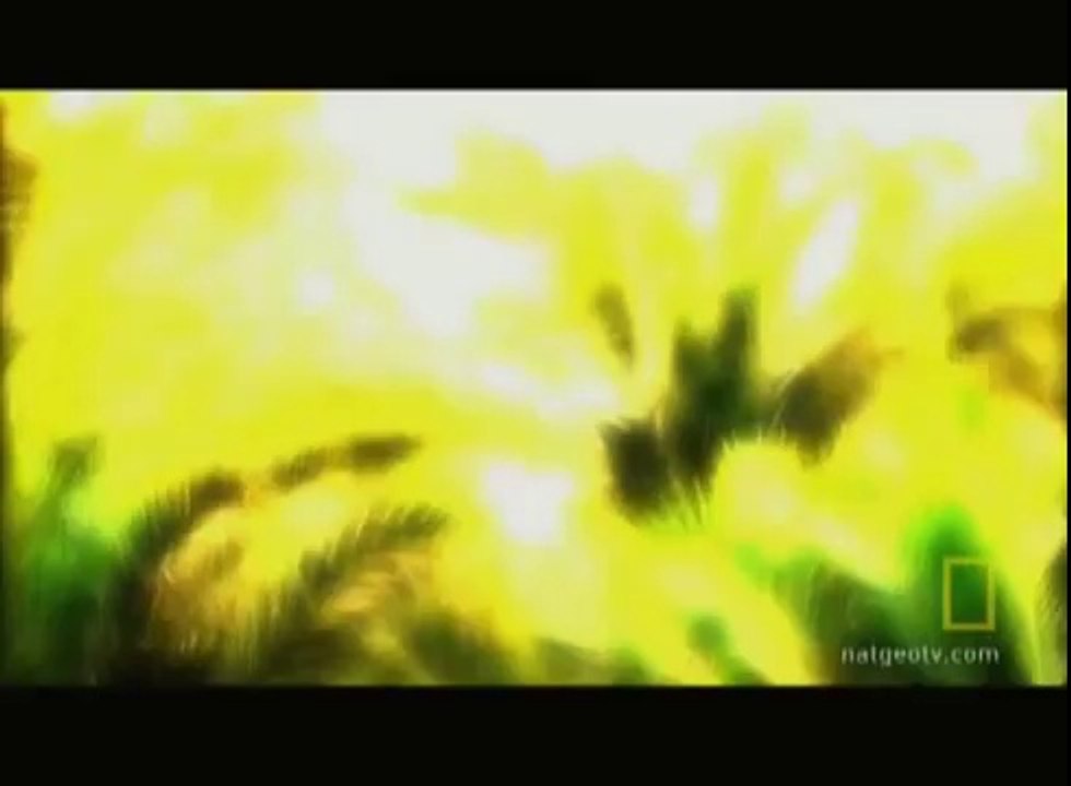 Lost Tomb of Alexander  - Egypt Cradle of civilization - مصر مهد الحضارة