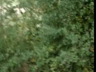 Raphael qui en avait marre de la vie :D