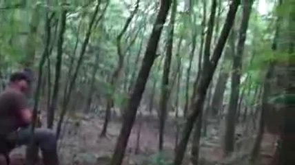 Howling Coyotes - NOT ORIGINAL CONTENT