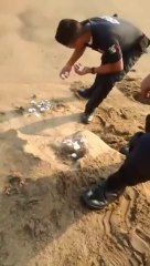 Lanza huevos de tortuga al mar policía de Manzanillo, Colima