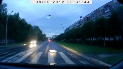 La vidéo qui a fait pleurer le Monde Entier