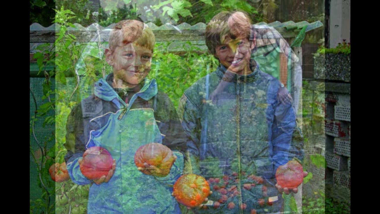 Geld ist an allem Schuld!