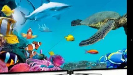 Best Cyber Monday TV Deals 2014