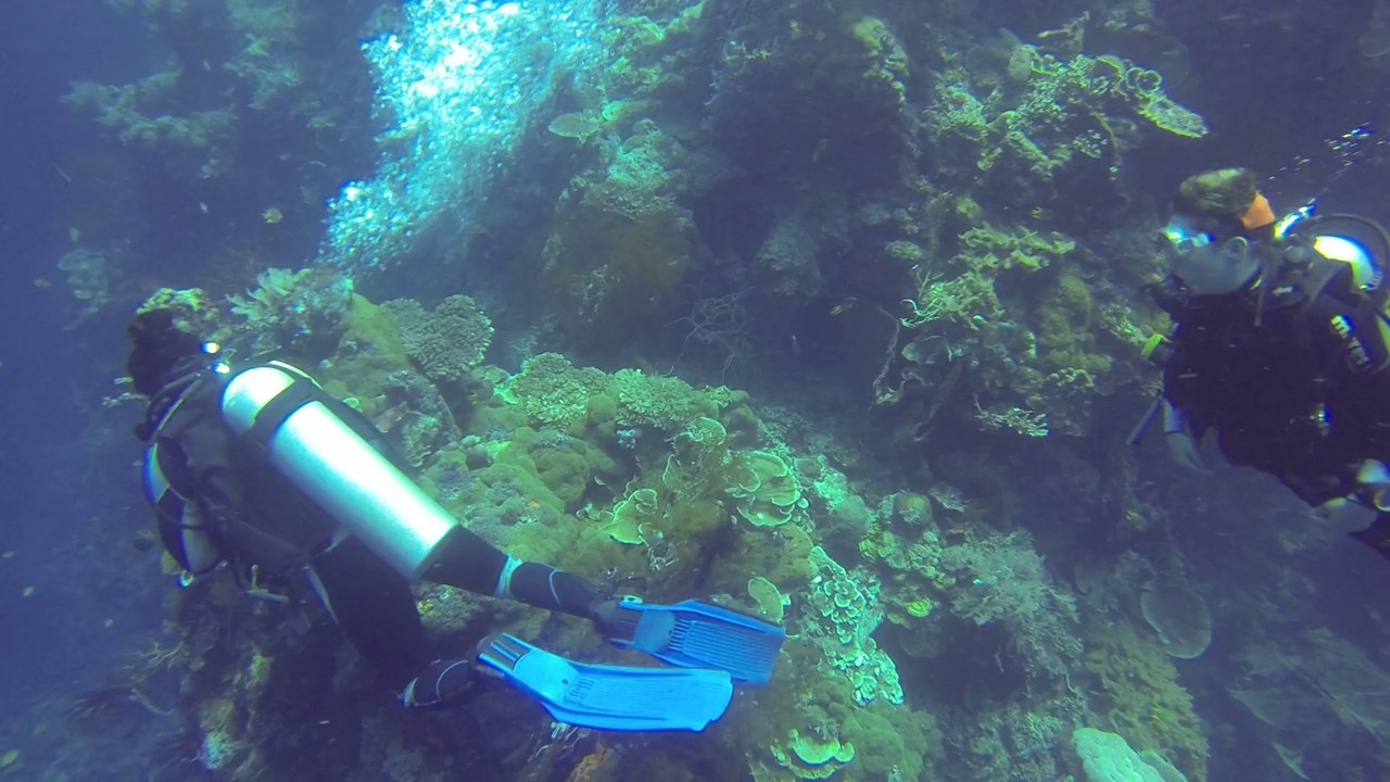 padangbay le platax