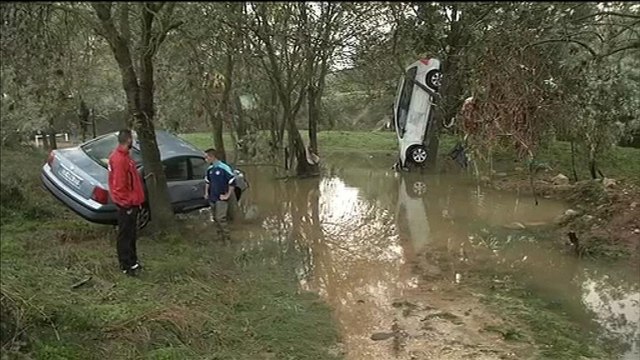 Inondations dans l'Hérault: des voitures accrochées dans les arbres
