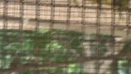 Shilparamam Birds in cage Vishakhapatnam Vizag SKMClasses Subhashish 2