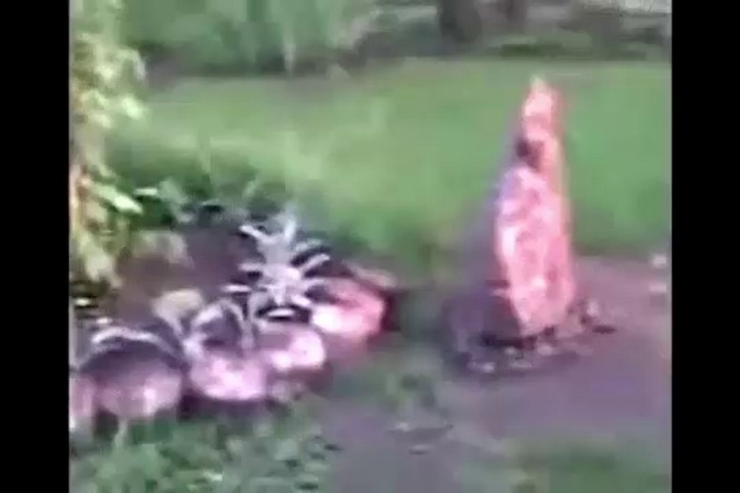 Ghost Sighting in Backyard