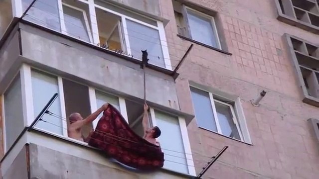 Sauver un bébé chat suspendu dans le vide!