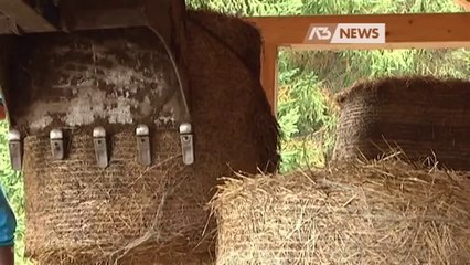 MALTEMPO E BUROCRAZIA, AGRICOLTURA IN DIFFICOLTA'