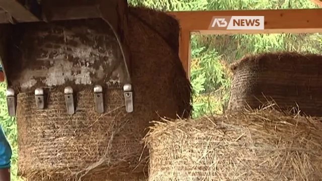 MALTEMPO E BUROCRAZIA, AGRICOLTURA IN DIFFICOLTA'