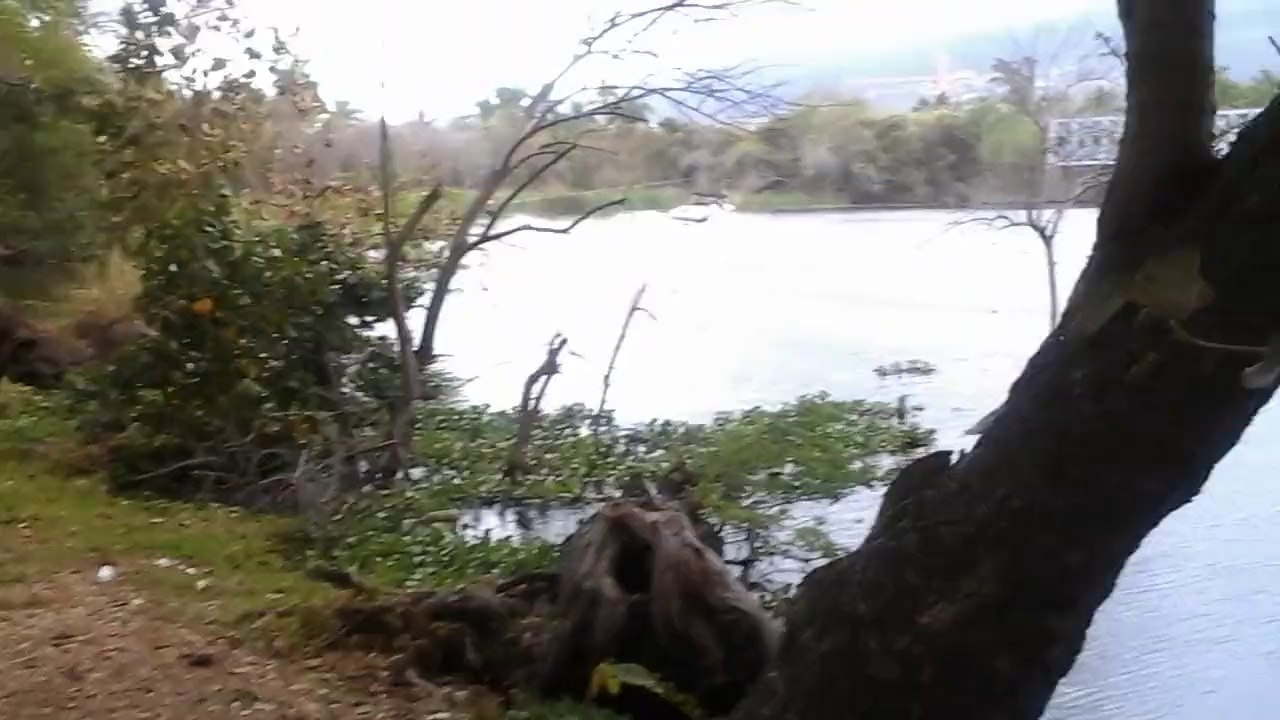 ski nautique Réunion.