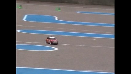 Tamiya 58163 Rover Mini Cooper Rally