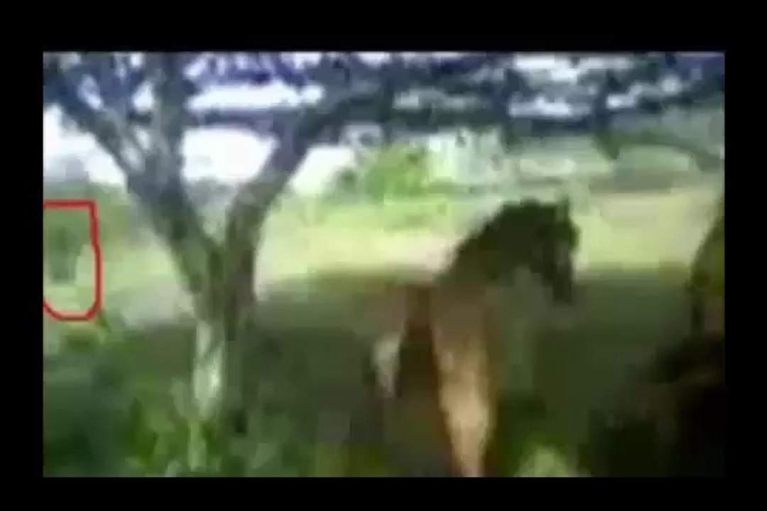 Ghost Caught on Tape in a Mexican Ranch