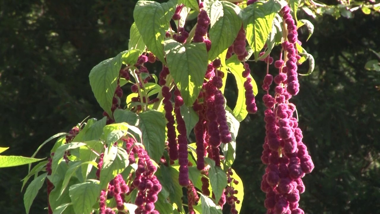 erich's diary - September 2014