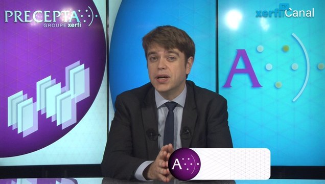 Aurélien Duthoit, Xerfi Canal Le crowdfunding / la finance participative