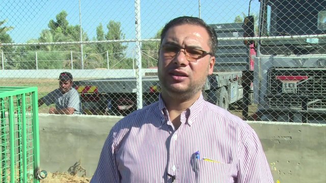 Gaza sends lions to Jordan after war damages zoo