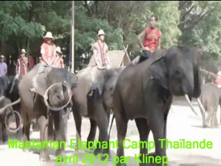 montage vidéo elephants ThaIlande