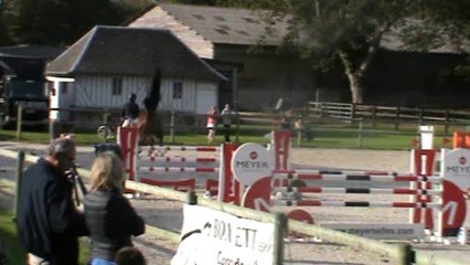 Six Sense, hongre par Indoctro, Deauville.