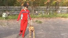 ОКД