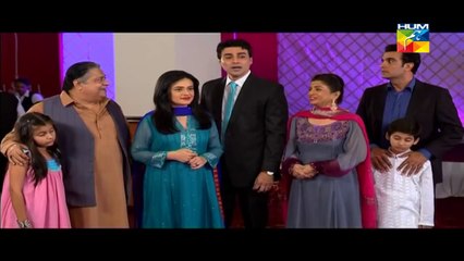 Shab e Zindagi Episode 15 HUM TV Drama