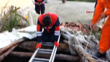 Zonguldak Ereğli Su Kuyusuna Düşen Kediyi İtfaiye Kurtardı