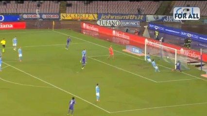 Napoli-Fiorentina 0-1 SerieA 2013-2014 (EFFETTO STADIO)