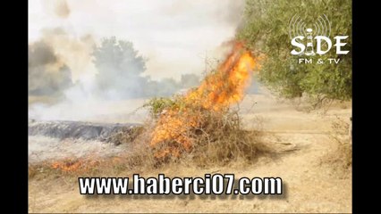 Sarılar Su Deposu Mevkii Yangın