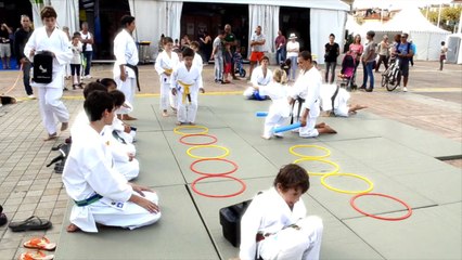 Viva associations Cannes - Karaté