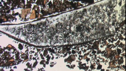 Archéologie métiers Stéphane Pirson géologue