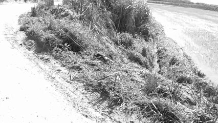 MTB, ciclismo, Sasselos Team, Marcelo Ambrogi, Tremembé, SP, Brasil, (12)