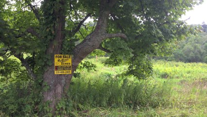 Heath Detweiler with price reduced country acreage throughout Ohio for sale by owner