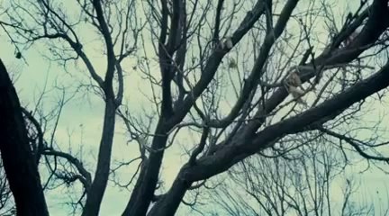 Moor - Upcoming Pakistani Movie