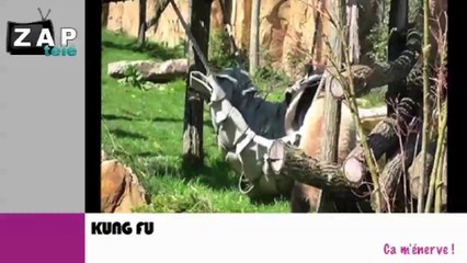 Zapping du net du 6 octobre 2014