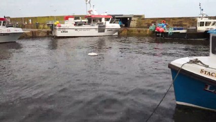 Doon the Brae stormy sea