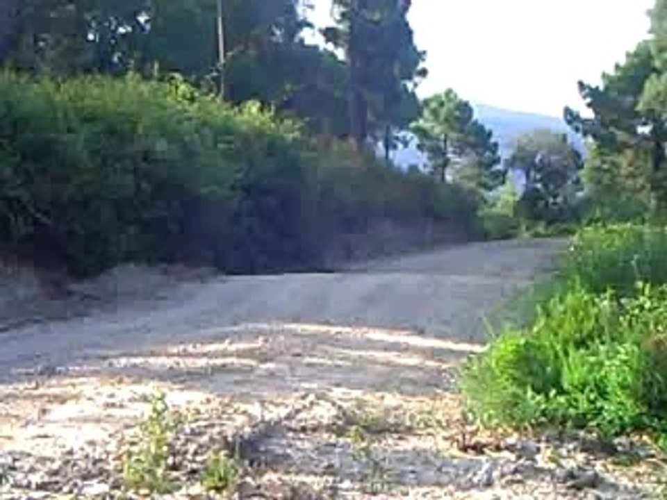 quad nico 350 banshee