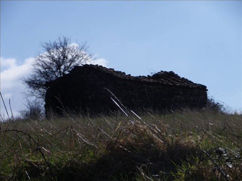 Elvis PRESLEY A Whistling Tune