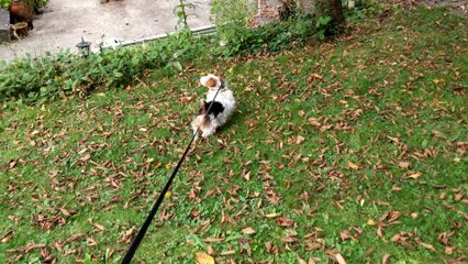 Test de la vidéo 4K@30fps du LG G3 avec résolution UHD 3840x2160