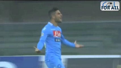 Verona-Napoli 0-3 serieA 2013-2014 (EFFETTO STADIO)