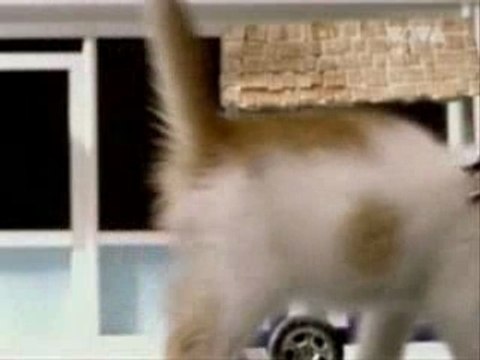 Fatboy Slim - The Joker