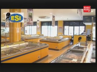 Il gatto sul raccordo _07 ottobre_Parte 2