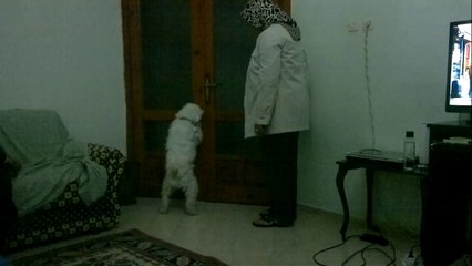 ALANYA MUSTAFA YARILAN