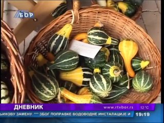 Dnevnik, 07. oktobar 2014. (RTV Bor)