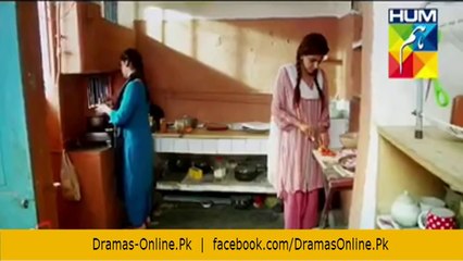 Digest Writer Promo 2 Coming Soon on Hum Tv