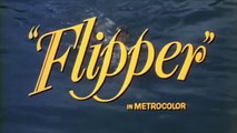 Flipper (1963) Official Trailer - Chuck Connors, Luke Halpin Movie HD