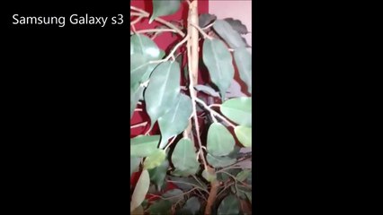 Videoconfronto - iPhone 5s vs Samsung Galaxy s3