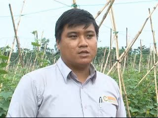 Gia tăng sản xuất rau quả