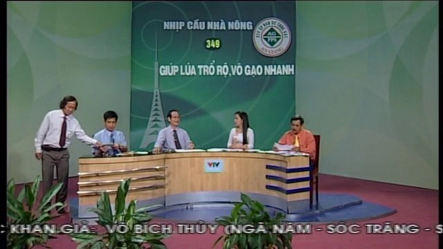 Giúp lúa trổ rộ, vào chắc tốt