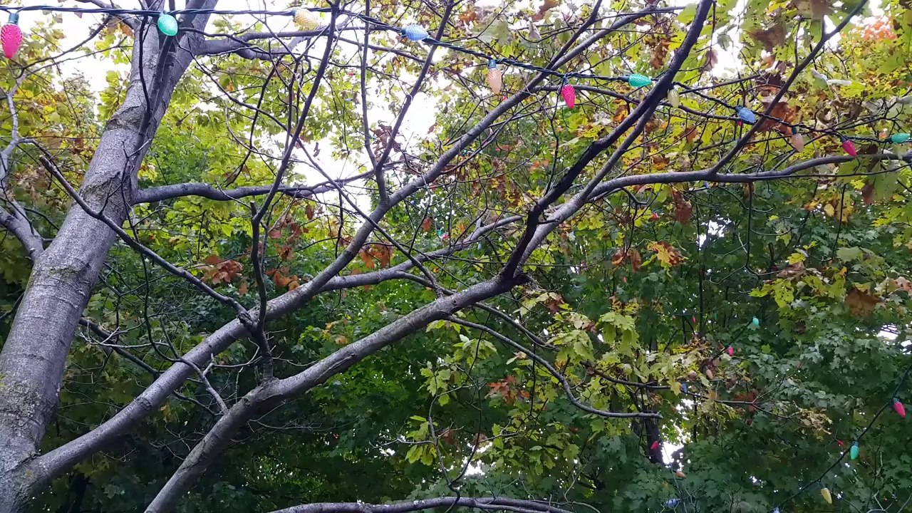 Galaxy Note 4_ Camera Test in 4K