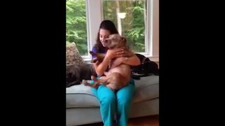 Dog enjoys lap time